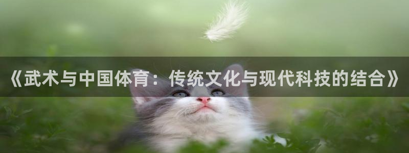 JJB竞技宝官网下载开户：《武术与中国体育：传统文化与现代科