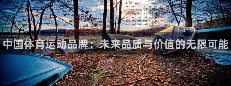 JJB竞技宝官方正版app集团logo：中国体育运动品牌：未