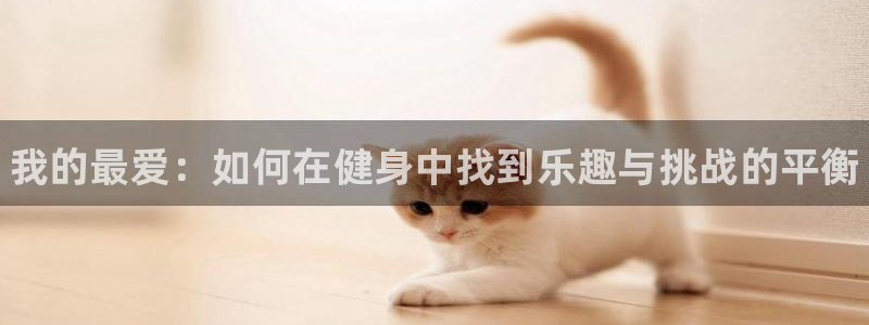 JJB竞技宝官方正版app集团官网网址：我的最爱：如