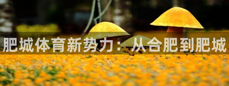 JJB竞技宝官方正版app娱乐是那个系列的台子：肥城