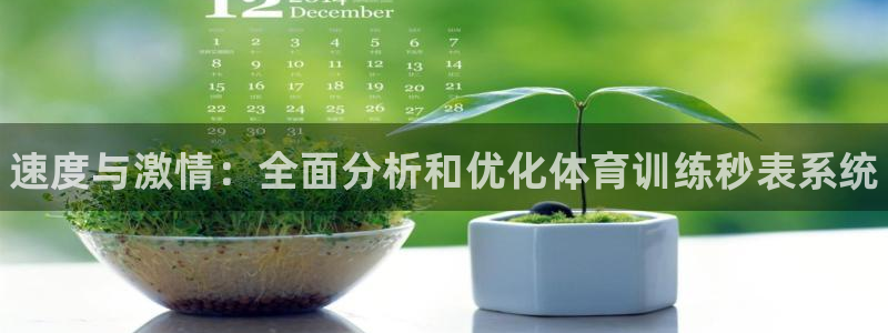 JJB竞技宝官方正版app神州：速度与激情：全面分析和优化体