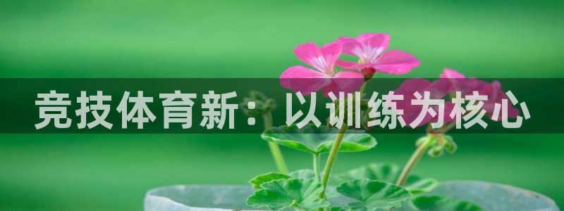 JJB竞技宝官方正版app娱乐是那个系列的台子：竞技体育新：