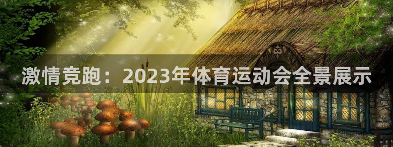 JJB竞技宝官网下载平台注册流程图：激情竞跑：2023年体育