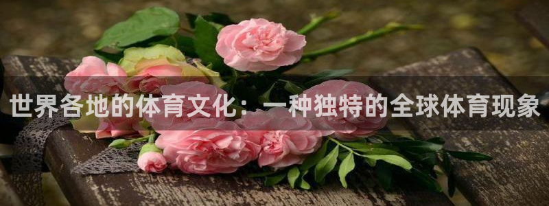 JJB竞技宝官网下载平台注册要钱吗安全吗：世界各地的体育文化