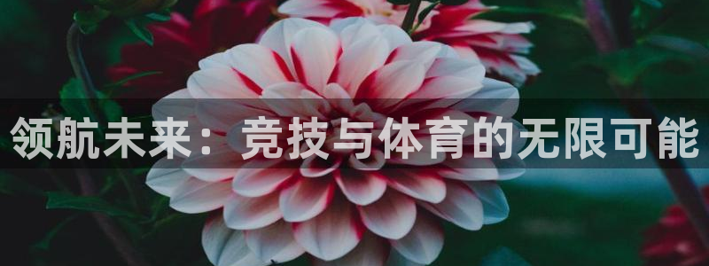 JJB竞技宝官网下载：领航未来：竞技与体育的无限可能