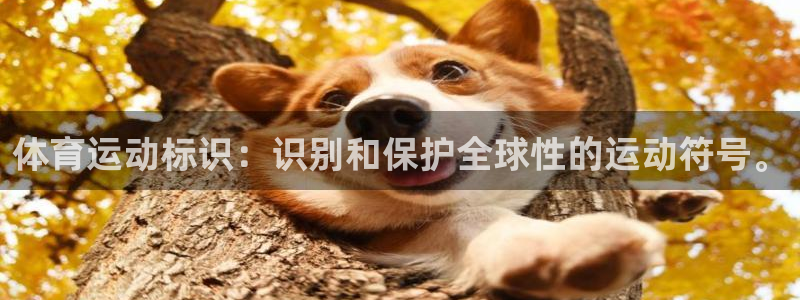 JJB竞技宝官网下载招商电话是多少：体育运动标识：识别和保护