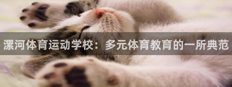 JJB竞技宝官网下载平台是正规平台吗安全吗：漯河体育