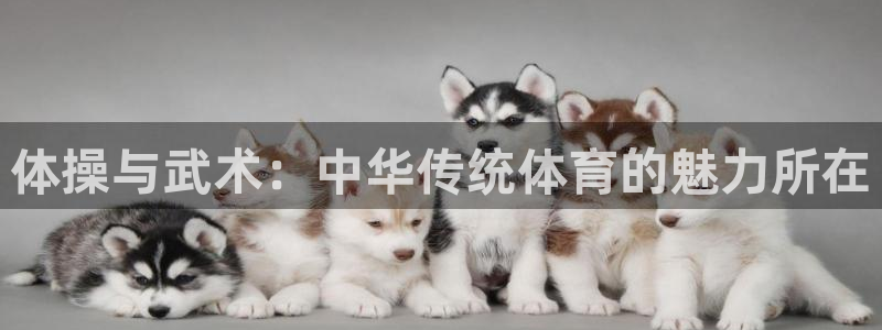 JJB竞技宝官方平台体育：体操与武术：中华传统体育的魅力所在