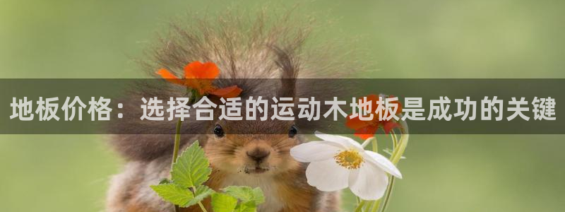 JJB竞技宝官方正版app科技：地板价格：选择合适的