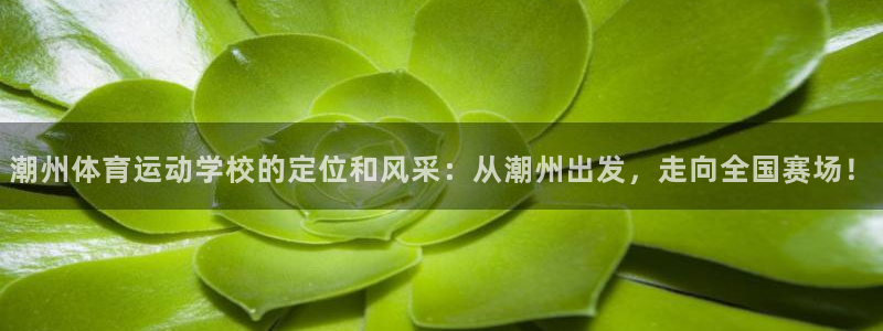 JJB竞技宝官网下载招商电话号码是多少：潮州体育运动学校的定