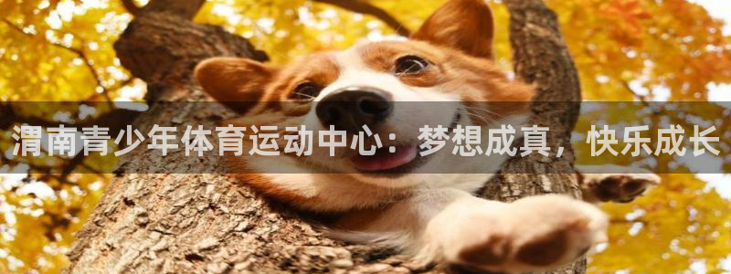 JJB竞技宝官网下载招商电话地址是多少