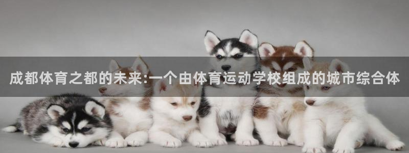 JJB竞技宝官方正版app代理：成都体育之都的未来:一个由体