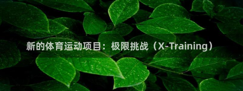 JJB竞技宝官网下载平台注册要钱吗：新的体育运动项目