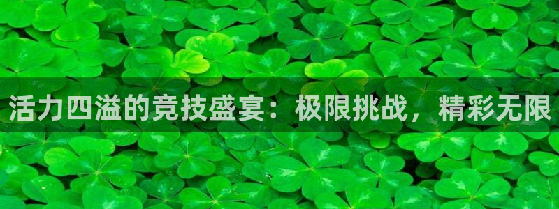 JJB竞技宝官网下载招商电话是多少号码