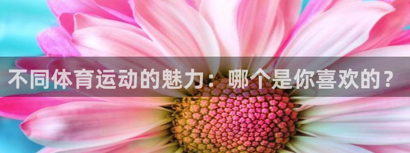 注册JJB竞技宝官方正版app:不同体育运动的魅力:哪个是你