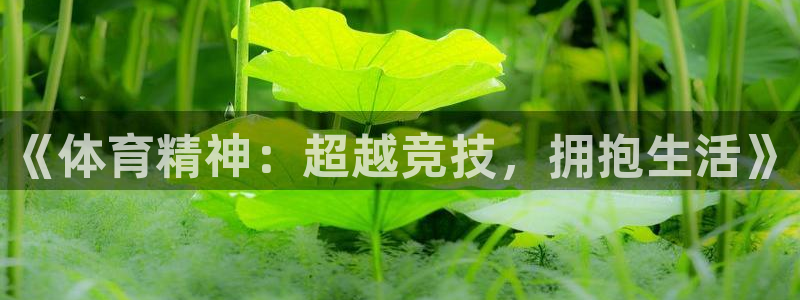 JJB竞技宝官网下载平台假的吗是真的吗：《体育精神：超越竞技