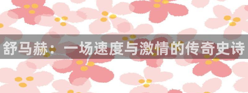 JJB竞技宝官方正版app娱乐网站：舒马赫：一场速度与激情的