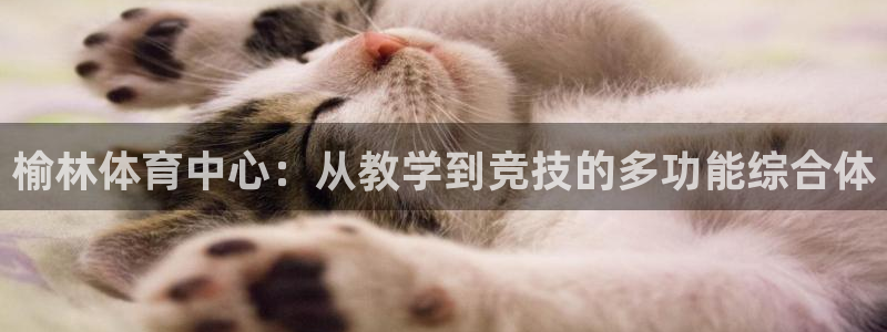 JJB竞技宝官网下载招商电话是多少：榆林体育中心：从