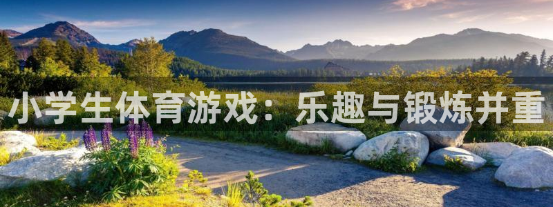 JJB竞技宝官网下载招商电话是多少：小学生体育游戏：