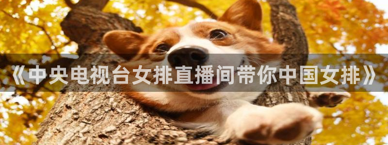 857足球赛直播：《中央电视台女排直播间带你中国女排》