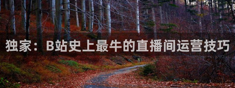 857体育直播在线观看官网：独家：B站史上最牛的直播间运营技巧