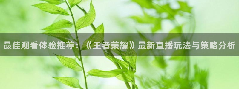 857直播体育篮球：最佳观看体验推荐：《王者荣耀》最新直播玩法与策略分析