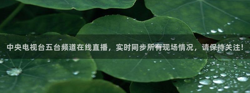 857直播体育nba直播：中央电视台五台频道在线直播，实时同步所有现场情况，请保持关注!