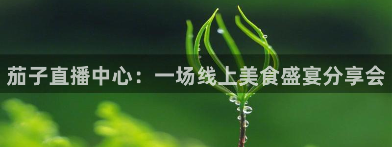 857 体育直播：茄子直播中心：一场线上美食盛宴分享会