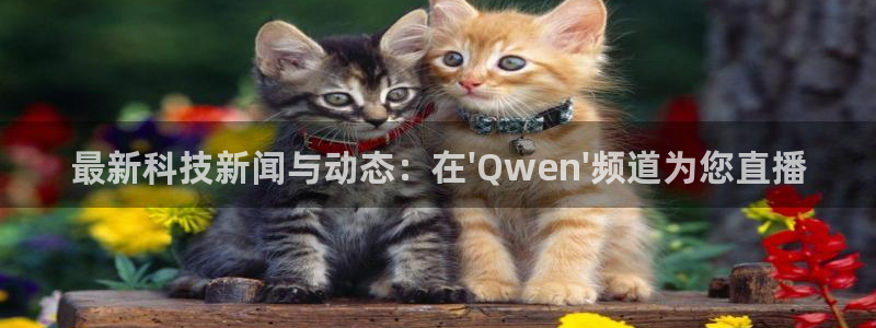 857看球直播nba直播：最新科技新闻与动态：在\'Qwen\'频道为您直播