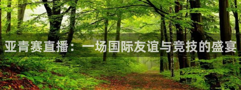 857体育直播回放：亚青赛直播：一场国际友谊与竞技的盛宴