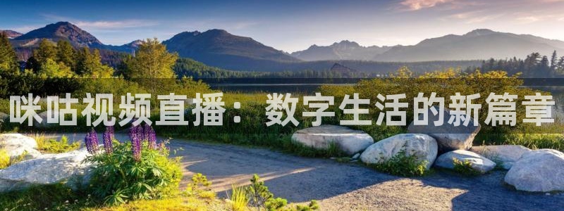 857足球直播免费观看高清：咪咕视频直播：数字生活的新篇章